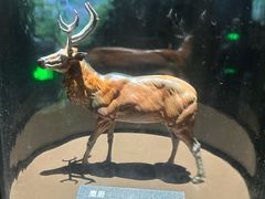 -中国湿地博物馆