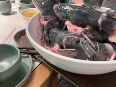 -鲜潭蒸汽石锅鱼(五道口购物中心店)