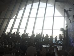 -抱抱地球咖啡馆(国家海洋博物馆店)