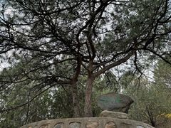 -北京鹫峰国家森林公园