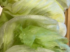 -蝎王府羊蝎子(西直门店)