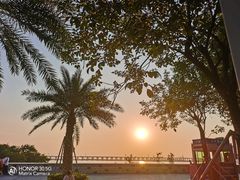 -宝安西湾红树林湿地公园