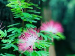 -箱美术馆私房菜(水晶郦城店)