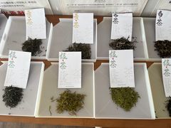 -汉艺唐风茶艺培训(联发华美空间店)