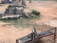 -秦皇岛野生动物园
