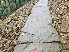 -西湖风景区十里琅珰-五云山