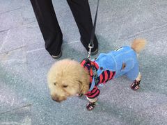 -绿地风尚天地广场