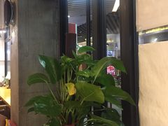 -雕刻时光咖啡馆(北苑店)