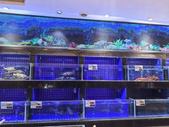 -粤珍轩.创始店.始于2001(含光门店)