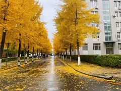 -东北大学(南湖校区)