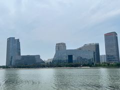 -金沙湖公园