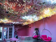 -pink baby·新晋网红打卡地