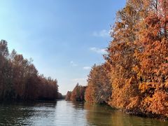 -上海海湾国家森林公园