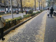 -四川大学(望江校区)