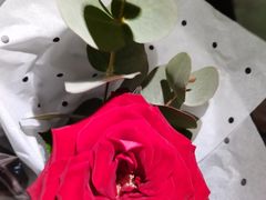 -C'è Amore爱意(亿合城店)