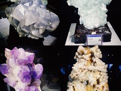 -中国地质大学逸夫博物馆