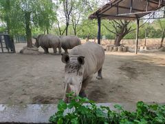 -西安秦岭野生动物园