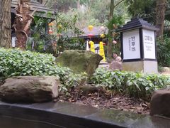 -融汇温泉