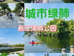-新江湾城公园