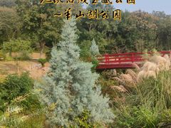 -羊山湖公园