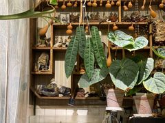 -Rabbit Cafe私房西餐甜点咖啡(栖霞路店)