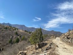 -白水寺森林公园