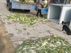 -腾格里塔拉酒店