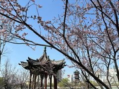 -迎泽公园