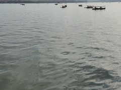 -西湖游船