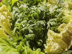 蔬菜拼盘-川西坝子(老军营店)