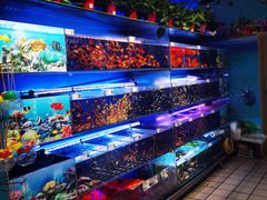 -大润发(国兴店)