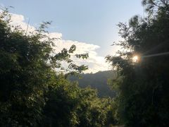 -雨花胜境