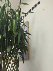 -天津伊美尔医疗整形美容专科医院