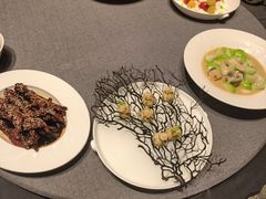 -桂满陇·海市蜃楼·黑金(国金店)