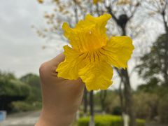 -桂溪生态公园