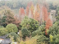 -忆咖啡观景餐厅(桂林象山公园店)