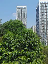 点击看大图 -金芙美月子中心(财富别墅店)