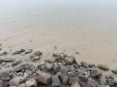 -深圳湾公园(南山区)