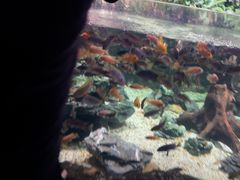 -南昌海洋公园