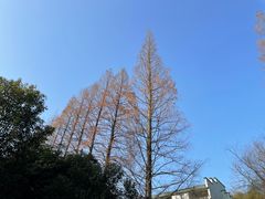 -青山湖景区