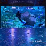南京海底世界首创沉浸式体验 美人鱼🧜‍♀️再现