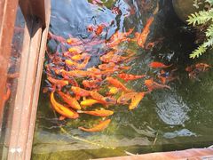 -西江印象酒楼