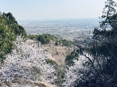 -北京凤凰岭
