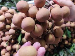 -淡村菜市场