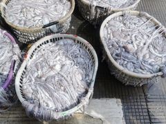 -中国舟山国际水产城