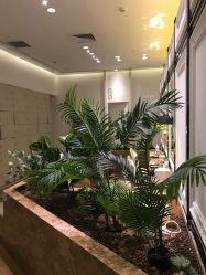 点击看大图 -贝黎诗SPA