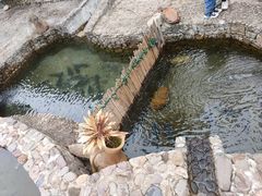 -姑婆山森林酒店