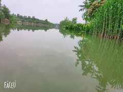 -白鹭湾湿地公园