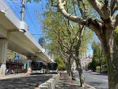 -Seesaw Coffee(上生新所店)