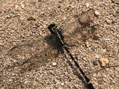 -碓臼峪自然风景区